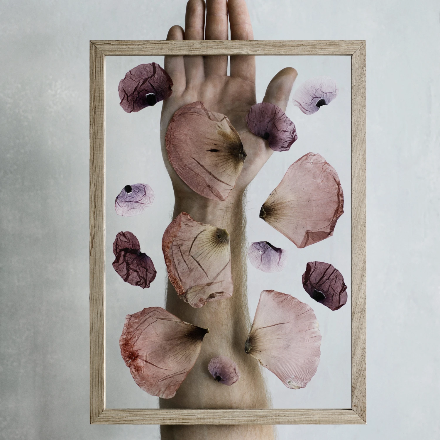 Moebe Frame A4 - Afbeelding 2