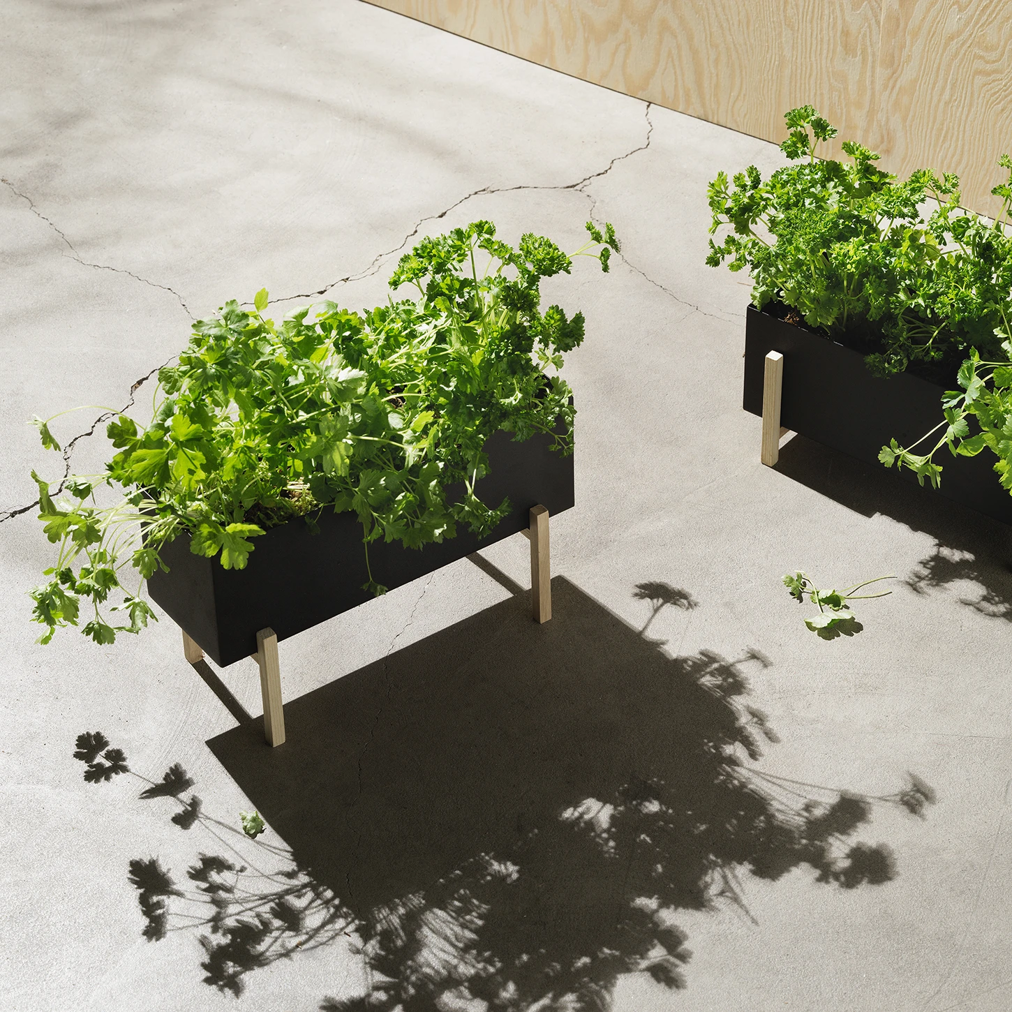 Design House Stockholm Botanic Herb Box - Afbeelding 2