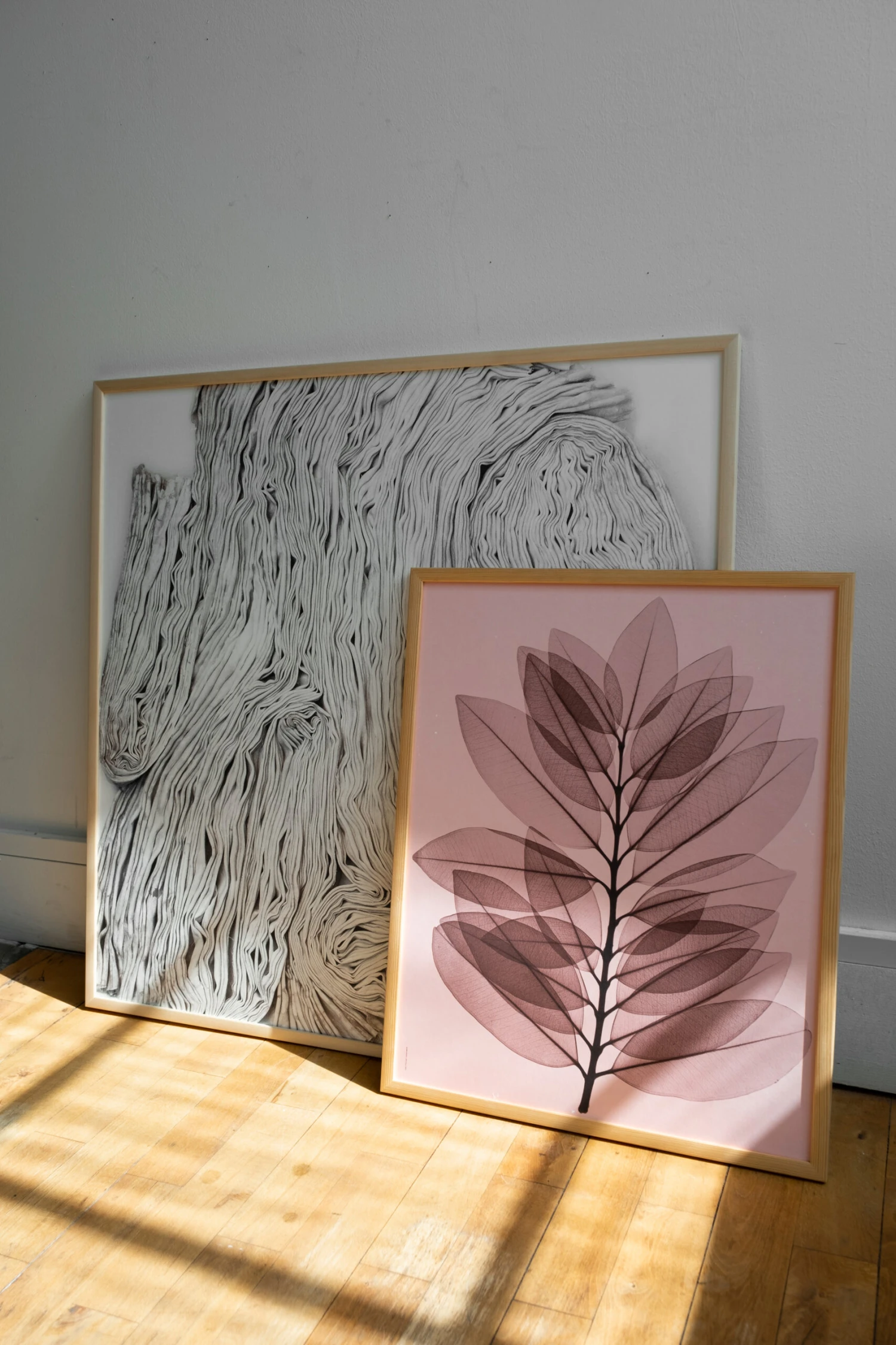 Metrosideros Excelsea Poster - Afbeelding 3