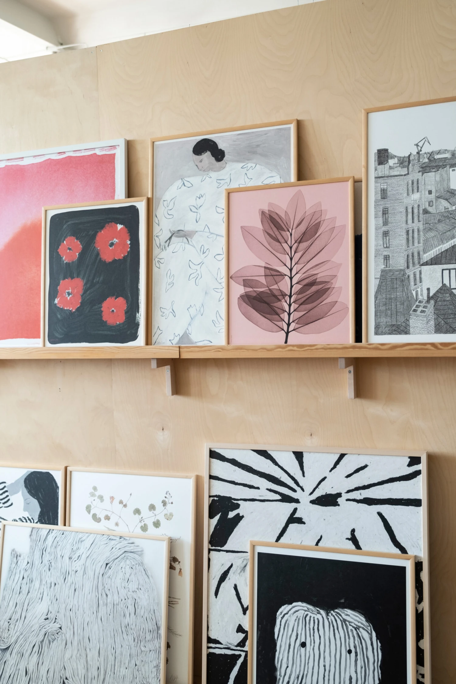 Metrosideros Excelsea Poster - Afbeelding 5