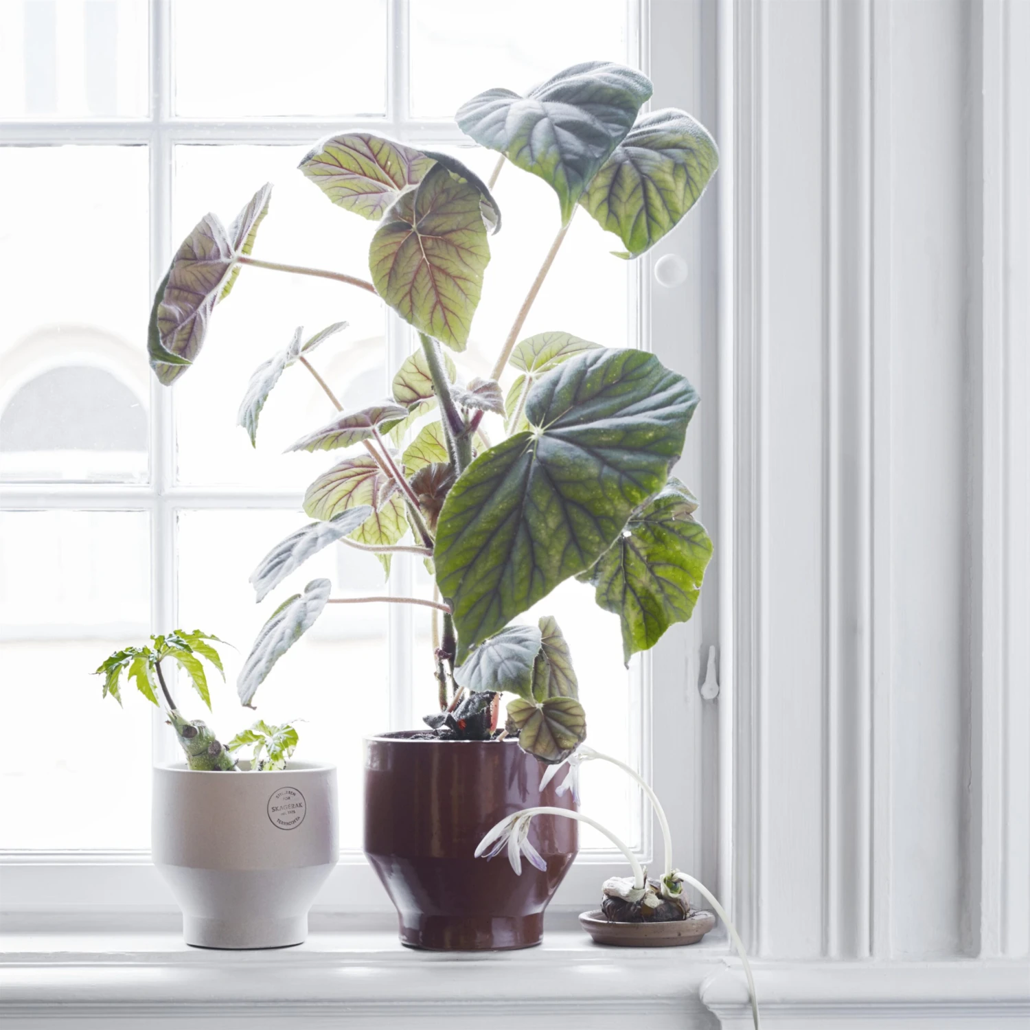 Skagerak Edge Bloempot (binnen) Ø18 Cm - Afbeelding 2